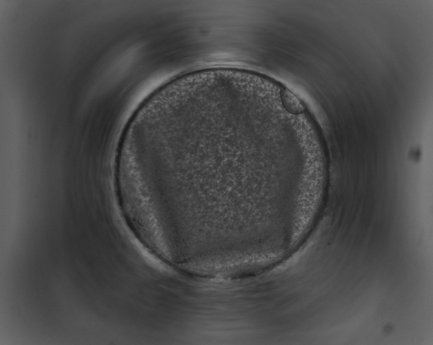 X0000101141333200807181246