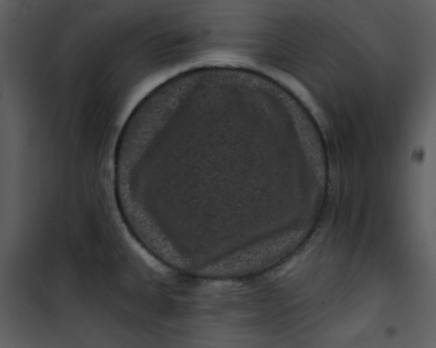 X0000101141335200807181246