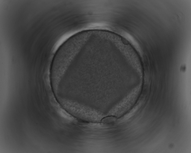 X0000101141336200807181246