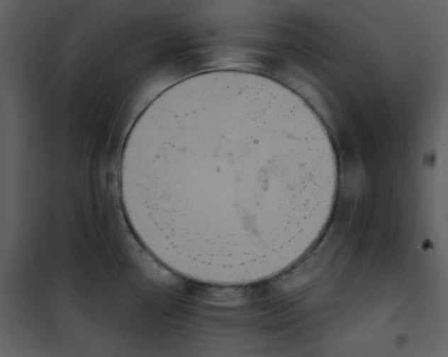 X0000101141338200807181246