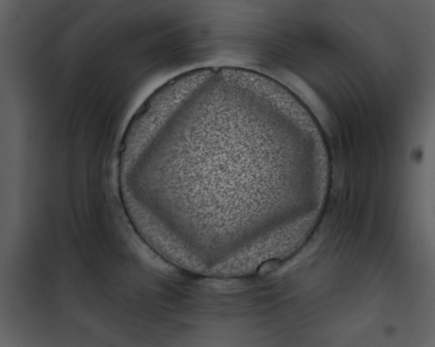 X0000101141340200807181246