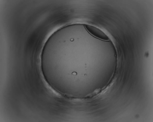 X0000101141341200807181246