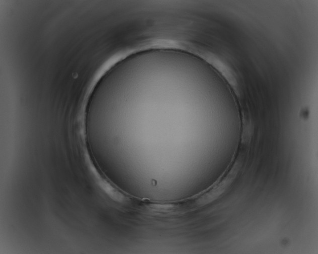 X0000101141342200807181246