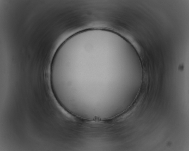 X0000101141343200807181246