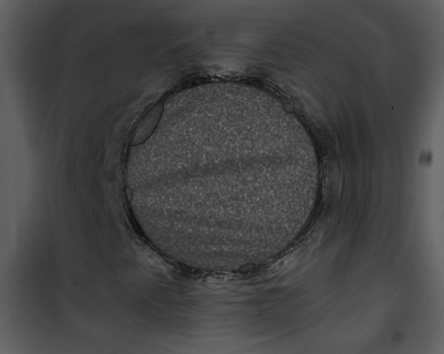 X0000101141345200807181245