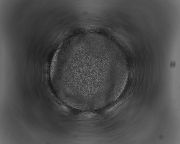 X0000101141346200807181245