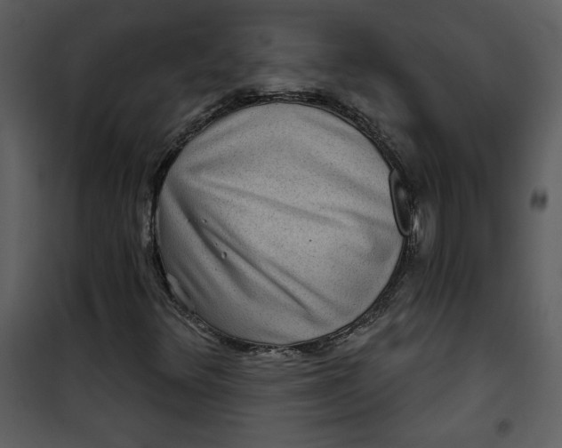 X0000101141348200807181245