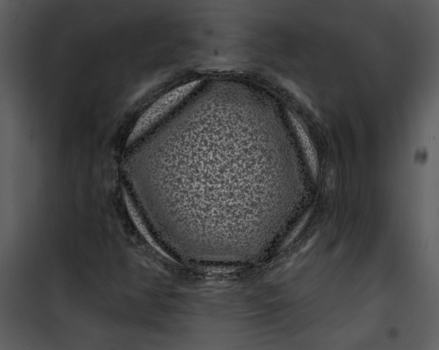 X0000101141350200807181245