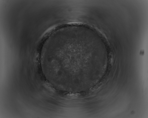 X0000101141351200807181245