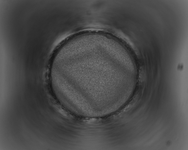 X0000101141352200807181245