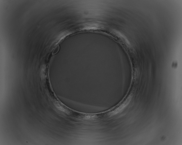 X0000101141353200807181245