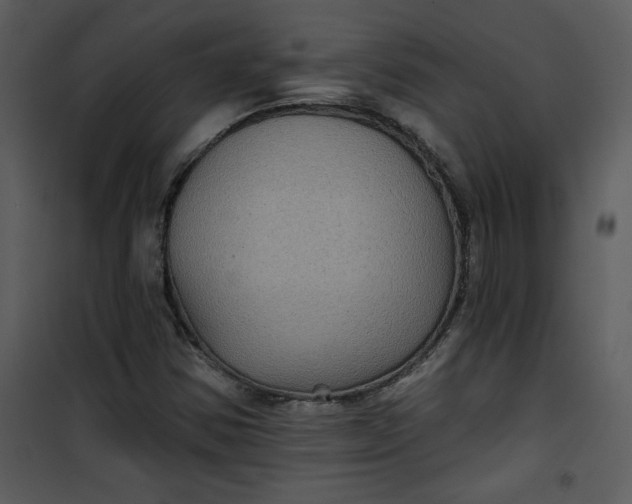 X0000101141354200807181245