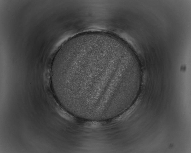 X0000101141355200807181245