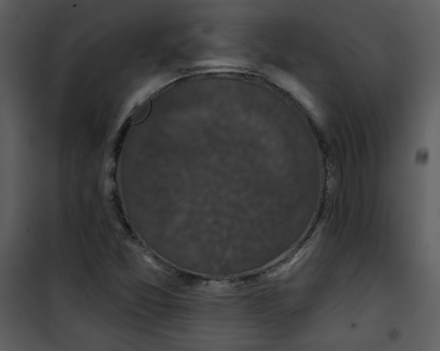 X0000101141357200807181245