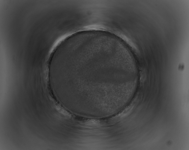 X0000101141358200807181245