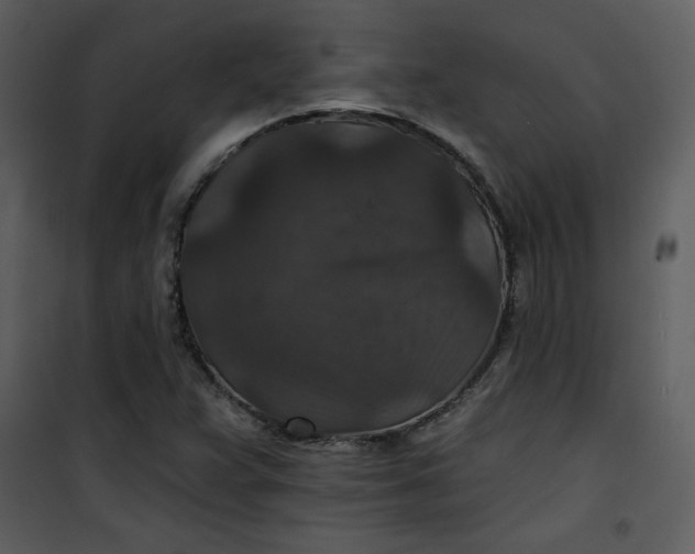 X0000101141359200807181245