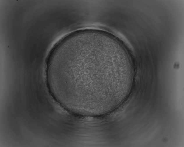 X0000101141360200807181245