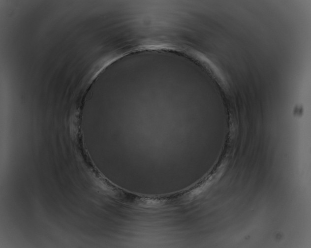 X0000101141361200807181245