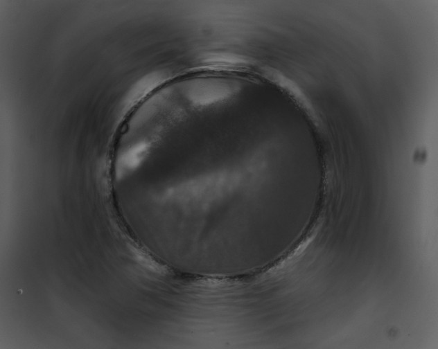 X0000101141362200807181245