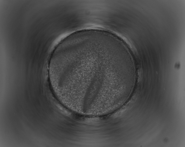 X0000101141363200807181245