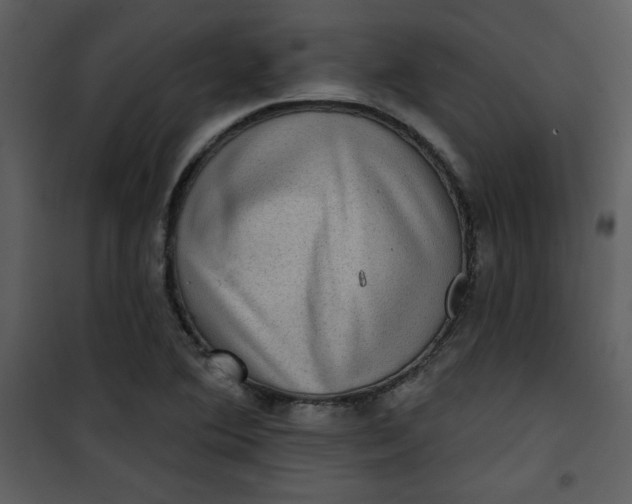 X0000101141364200807181245