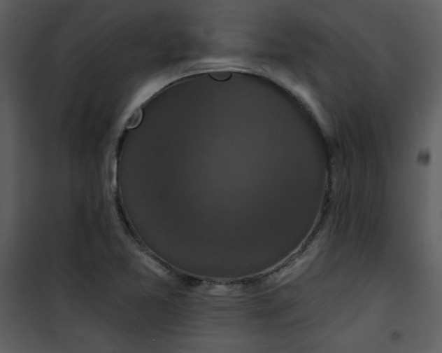 X0000101141365200807181245