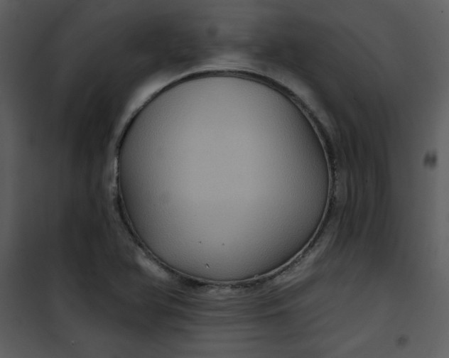 X0000101141366200807181245