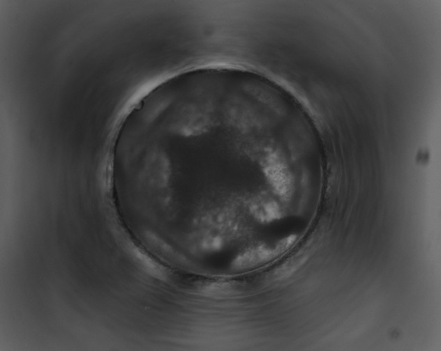 X0000101141367200807181245