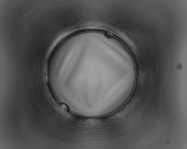 X0000101141368200807181245