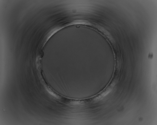 X0000101141369200807181245