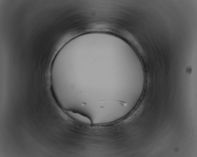 X0000101141370200807181245