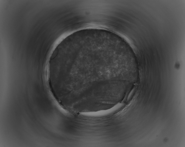 X0000101141371200807181245