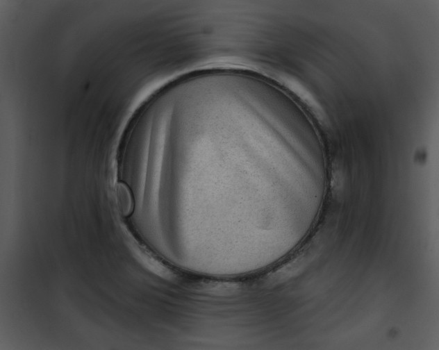 X0000101141372200807181245