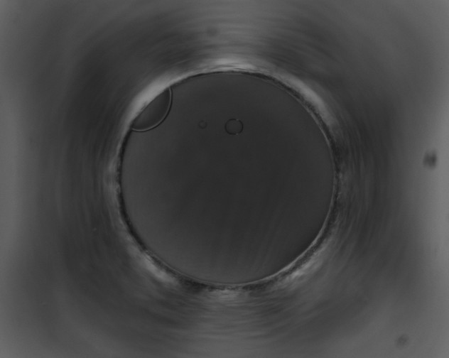 X0000101141373200807181245