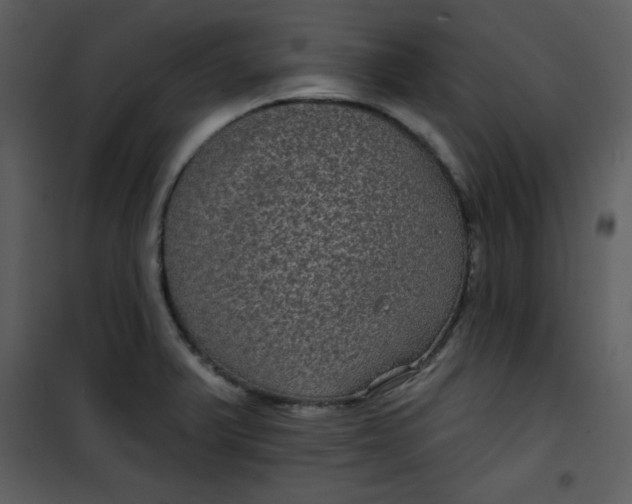 X0000101141375200807181245