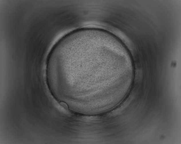 X0000101141376200807181245