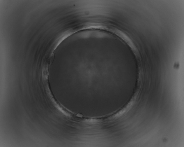 X0000101141377200807181245