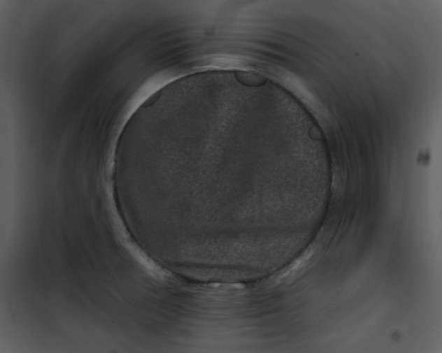 X0000101141378200807181245