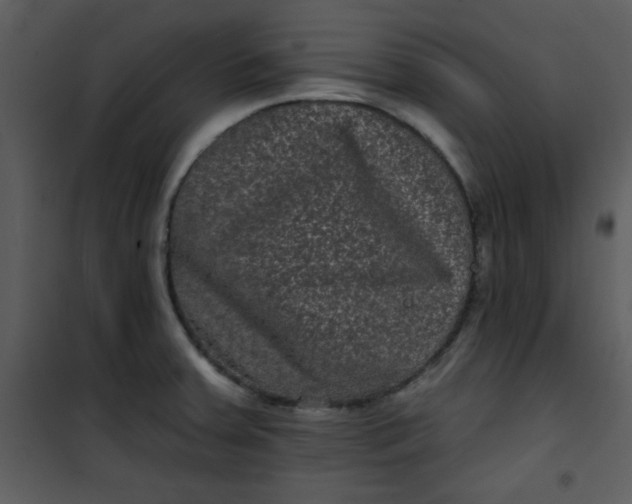 X0000101141379200807181245