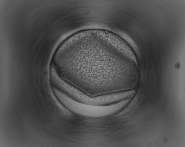 X0000101141380200807181245