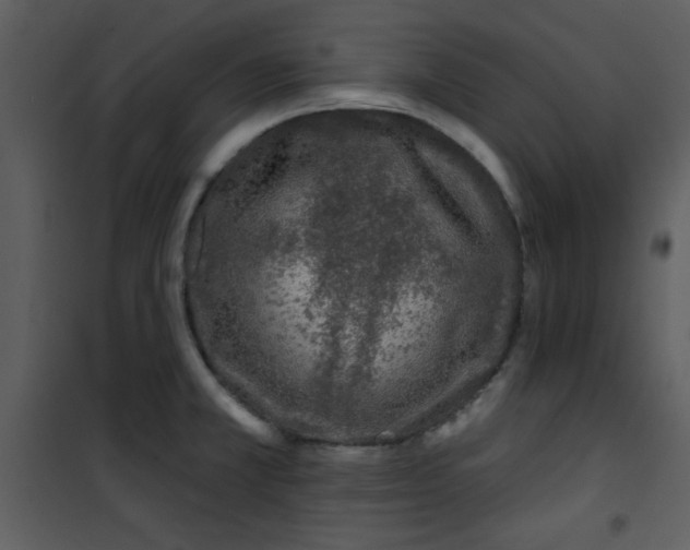 X0000101141381200807181245