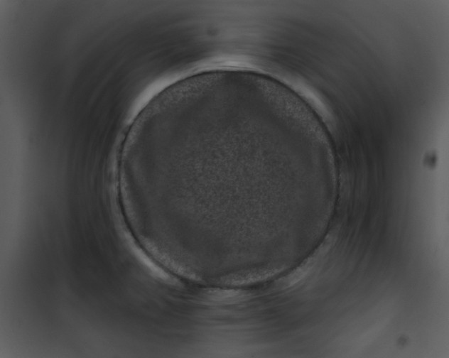 X0000101141382200807181245