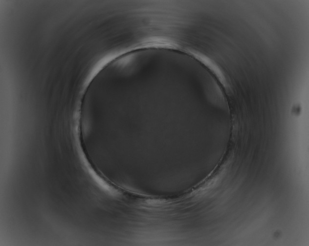 X0000101141383200807181245