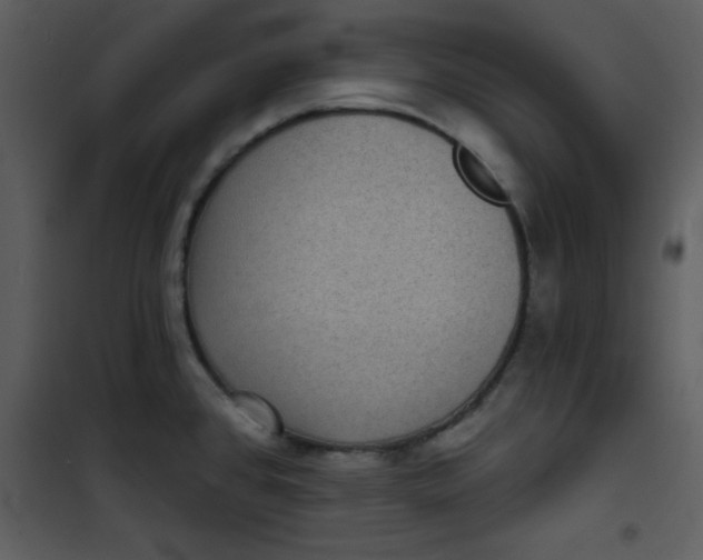 X0000101141384200807181245