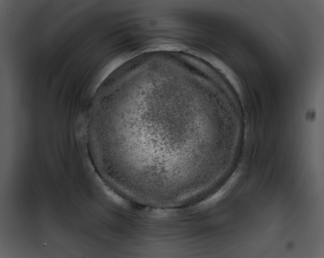 X0000101141385200807181245