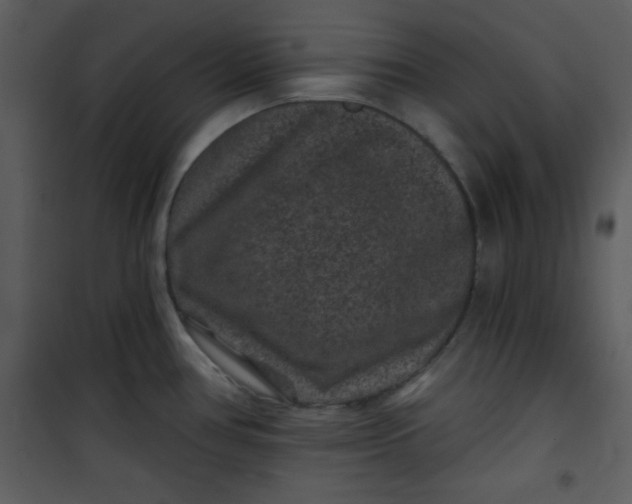 X0000101141386200807181245