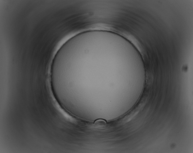 X0000101141387200807181245