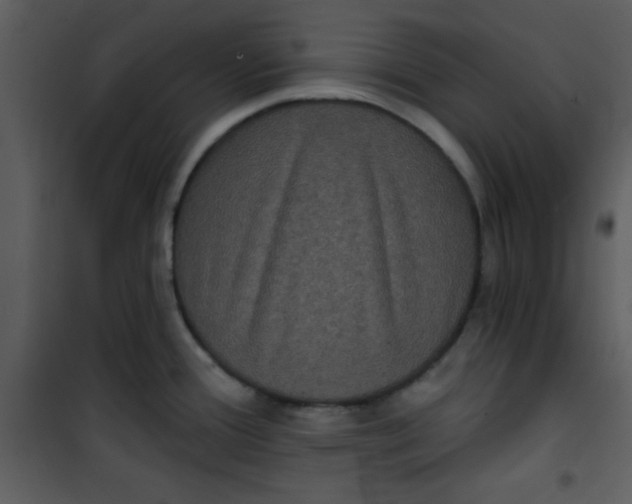 X0000101141388200807181245