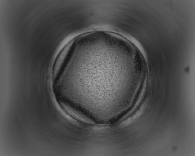 X0000101141389200807181245