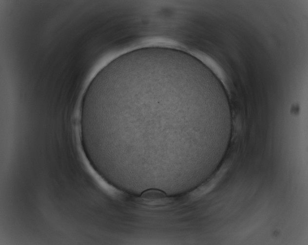 X0000101141391200807181245